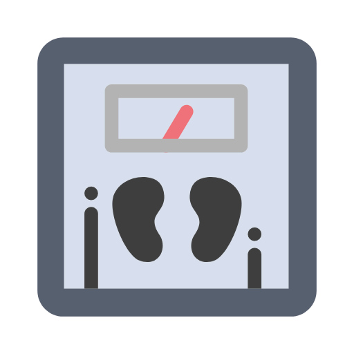 Scale icon