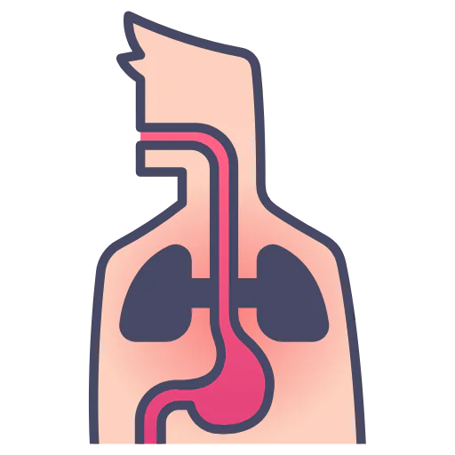 Internal icon