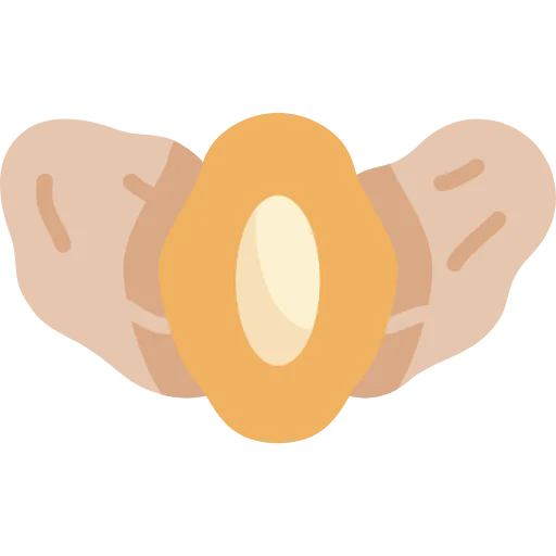 Dates Symbol