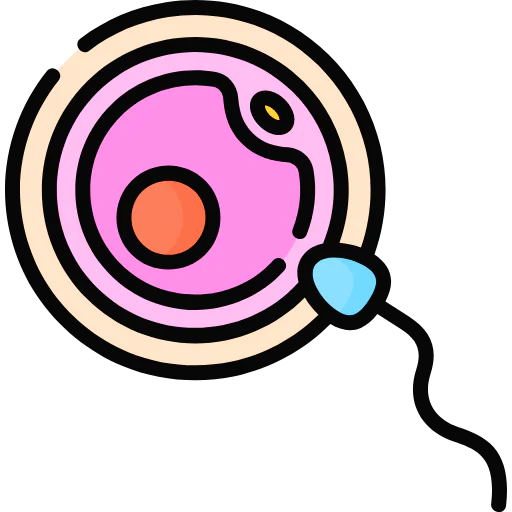 Fertilization 상