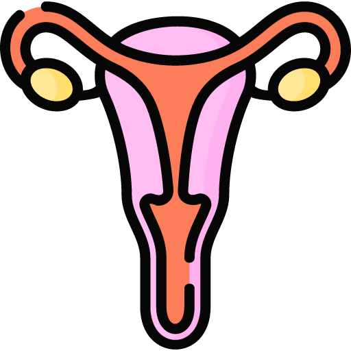 Fallopian tubes icon