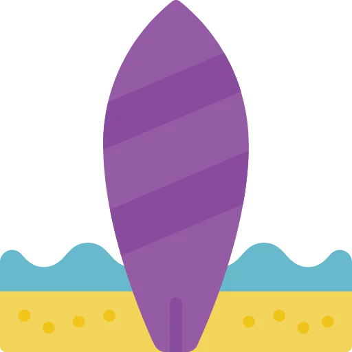 Surfing icon