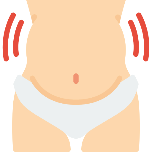 Stomach icon
