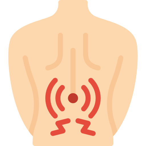 Back icon