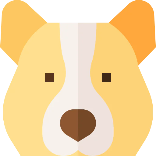 Corgi icon