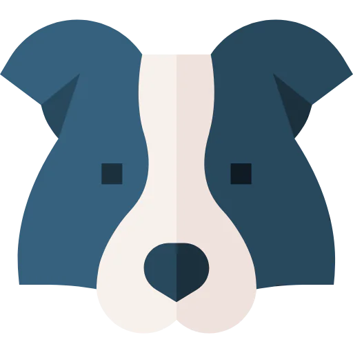 Border collie icon