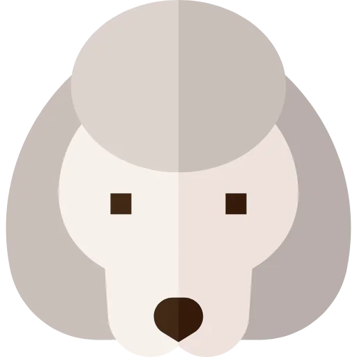 Poodle icon