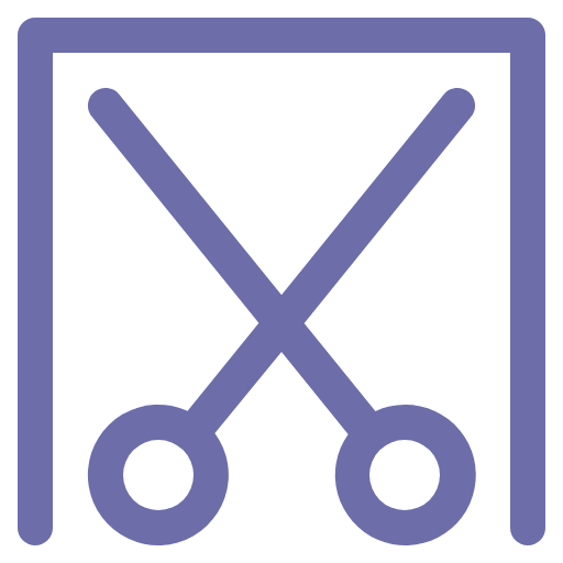 Screenshot icon