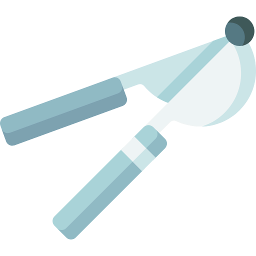 Juicer icon
