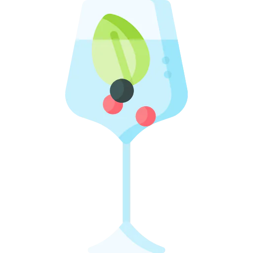 Gin tonic icon