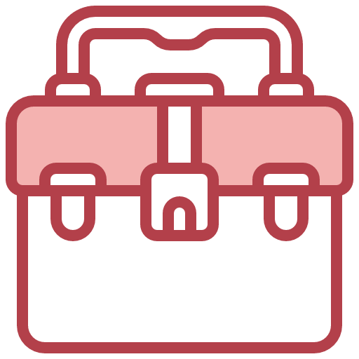Portfolio icon