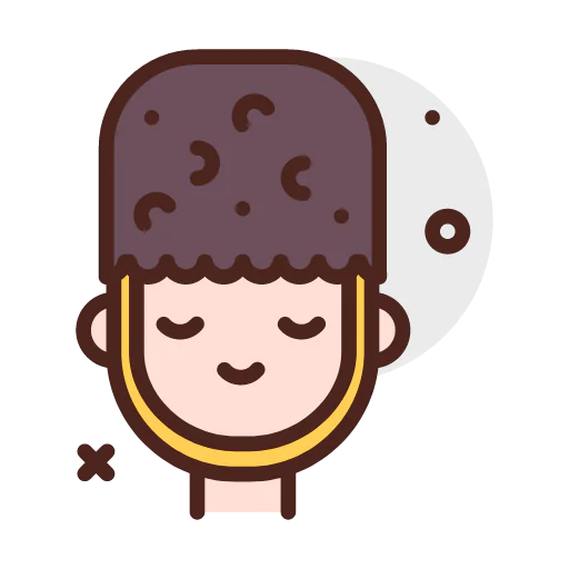 Guardian icon